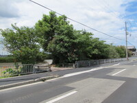 img_20210814-034949.jpg