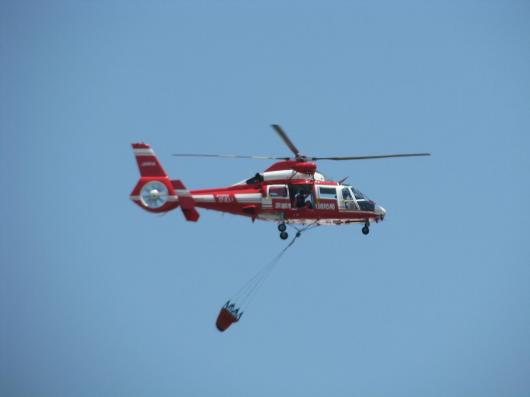 img_20120121-190602.jpg