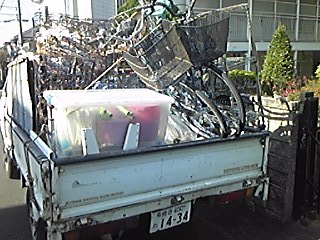 img_20161225-101110.jpg