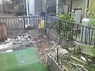 img_20180908-074253.jpg