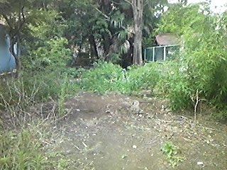 img_20180911-012808.jpg