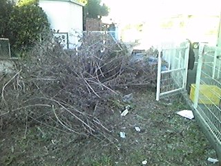 img_20181110-071515.jpg