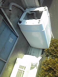 img_20190131-005557.jpg