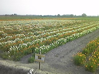 img_20190517-082325.jpg