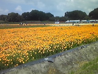 img_20190517-082339.jpg