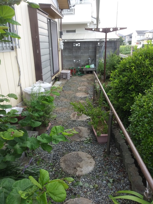 img_20190803-215344.jpg