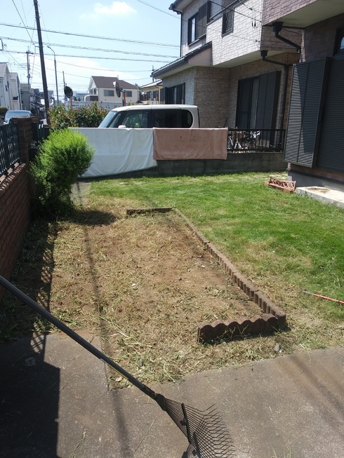 img_20200822-082213.jpg