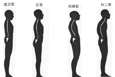 img_20181126-030130.png
