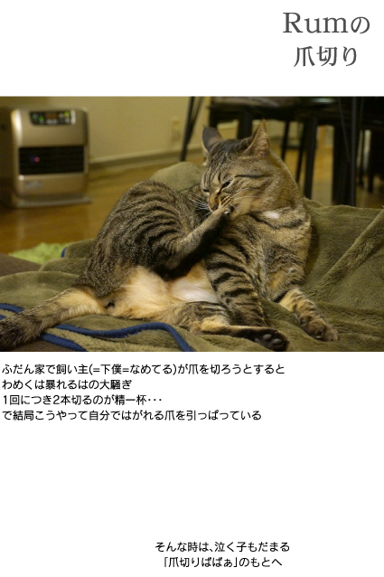 img_20191125-070342.jpg