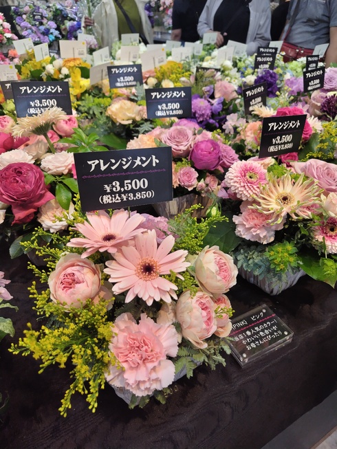 img_20240512-102045.jpg
