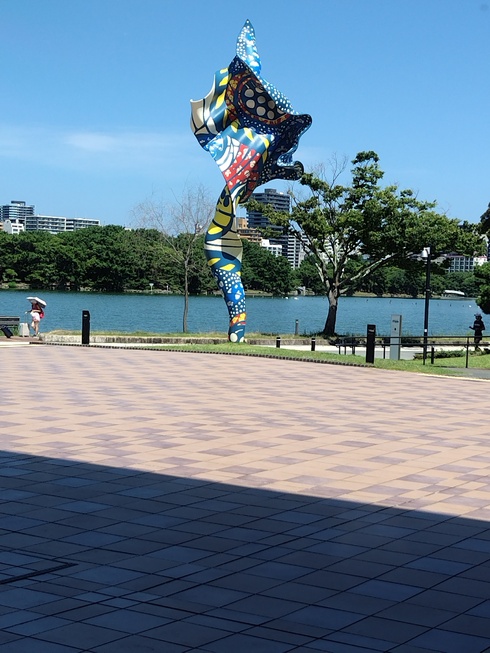 img_20240808-132009.jpg