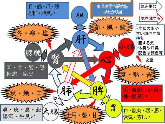 内臓整体院 竜 難しい理論より生の声を動画でご確認頂けます 内臓整体q A