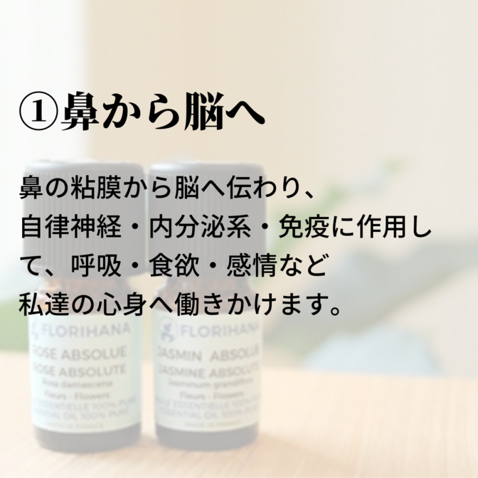 img_20230510-045204.png