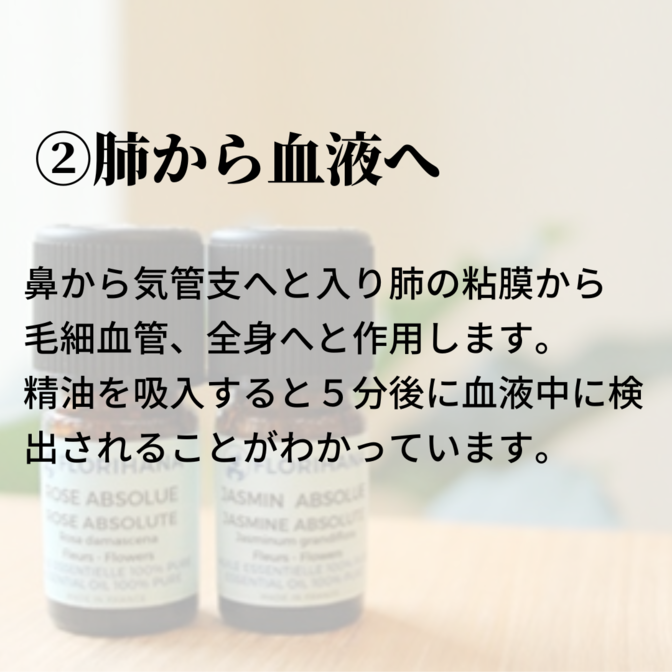 img_20230510-045234.png