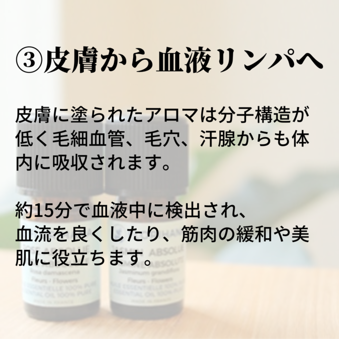 img_20230510-045314.png