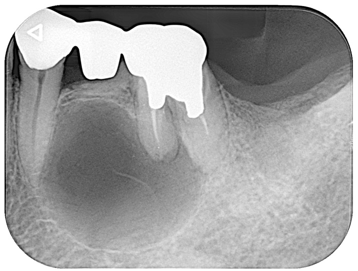 img_20250925-194924.jpg