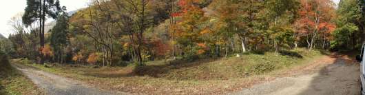 img_20121107-125517.jpg