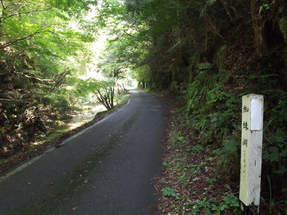 img_20130831-092728.jpg