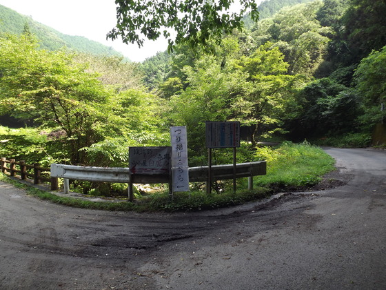 img_20130831-093752.jpg