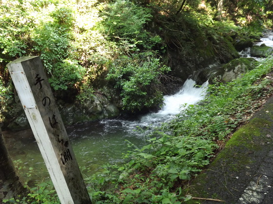 img_20130831-093831.jpg