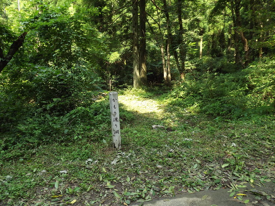 img_20130831-094631.jpg