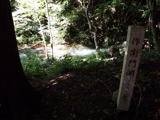 img_20130831-103418.jpg
