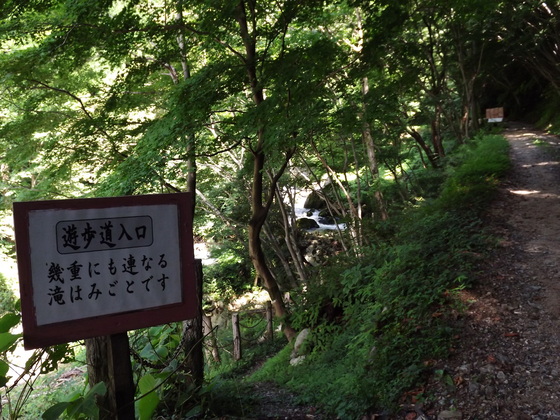 img_20130831-103619.jpg