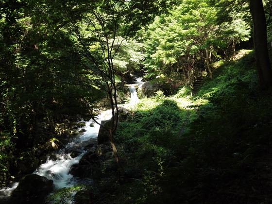 img_20130831-103859.jpg