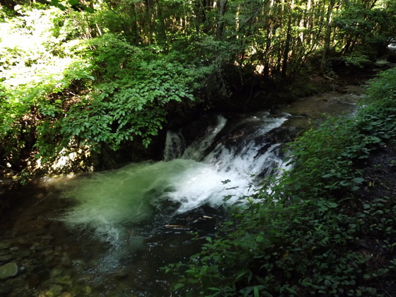 img_20130831-105120.jpg