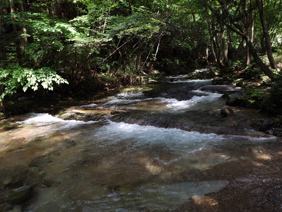 img_20130831-105231.jpg