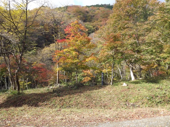 img_20130831-110307.jpg