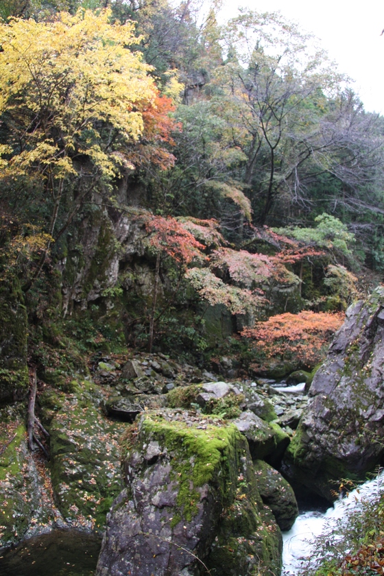 img_20131119-140451.jpg