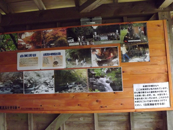 img_20131119-141204.jpg