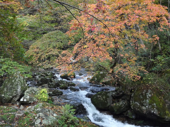 img_20131119-142811.jpg