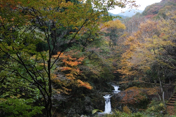 img_20131119-143233.jpg