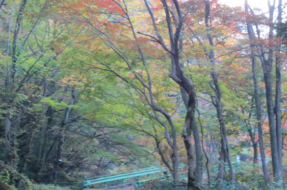 img_20171106-183327.jpg