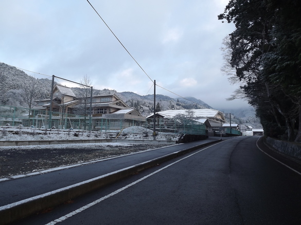 img_20180408-071739.jpg