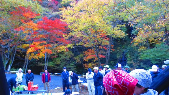 img_20181103-212706.jpg