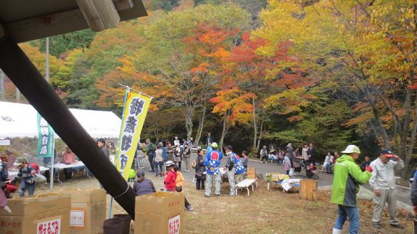 img_20181103-212805.jpg