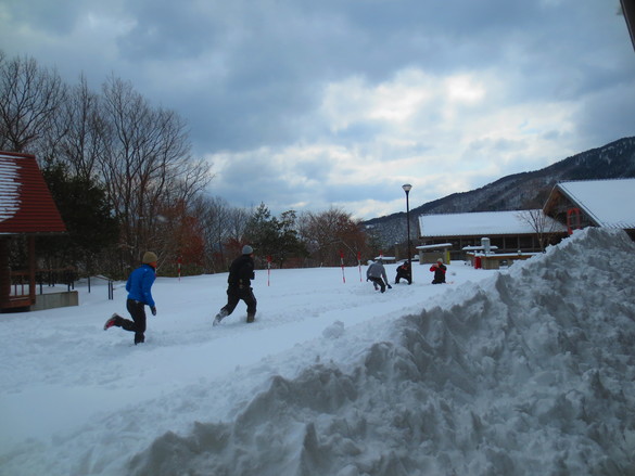 img_20190210-233926.jpg