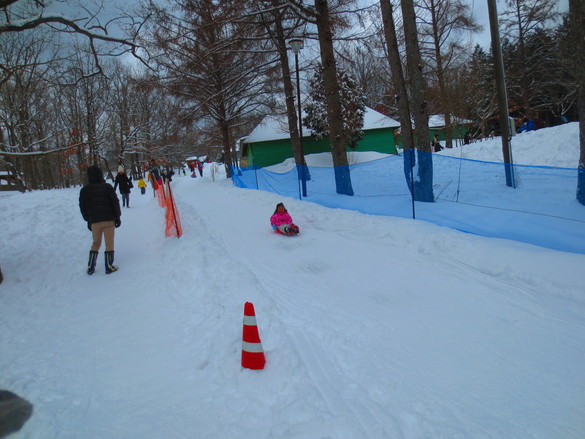 img_20190210-234241.jpg