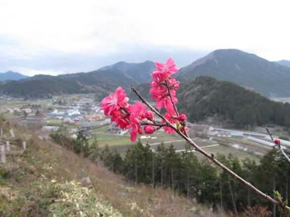 img_20190418-222046.jpg