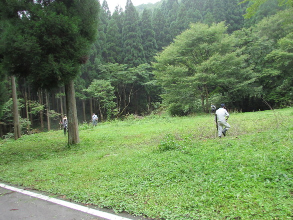 img_20190822-210104.jpg