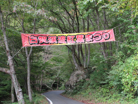 img_20191101-125819.jpg