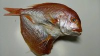 タイ開き　1尾入り　10袋　送料無料・税込み4000円～1万円