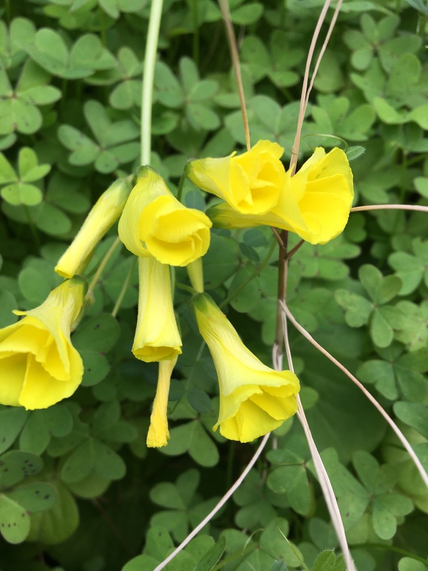 地震を騙ったスパムメールにご注意を ウイルス頑張り入っています ご注意下さい 地震を騙ったスパムメールにご注意を ウイルス頑張り入っています ご注意下さい