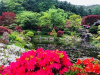 img_20220707-101029.jpg