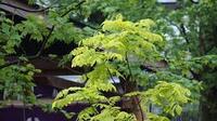 img_20220707-101217.jpg