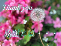img_20230808-002746.jpg