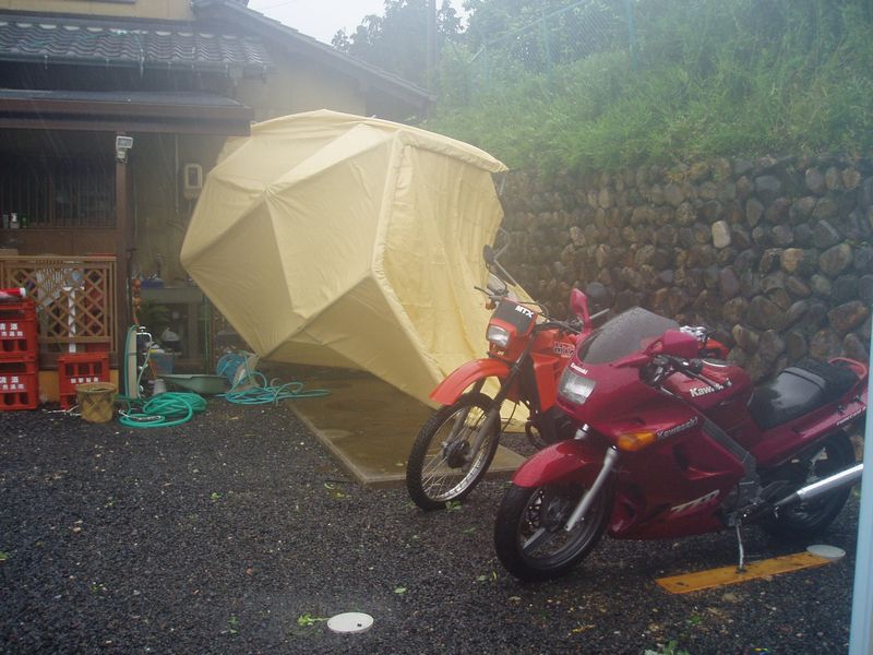 台風で